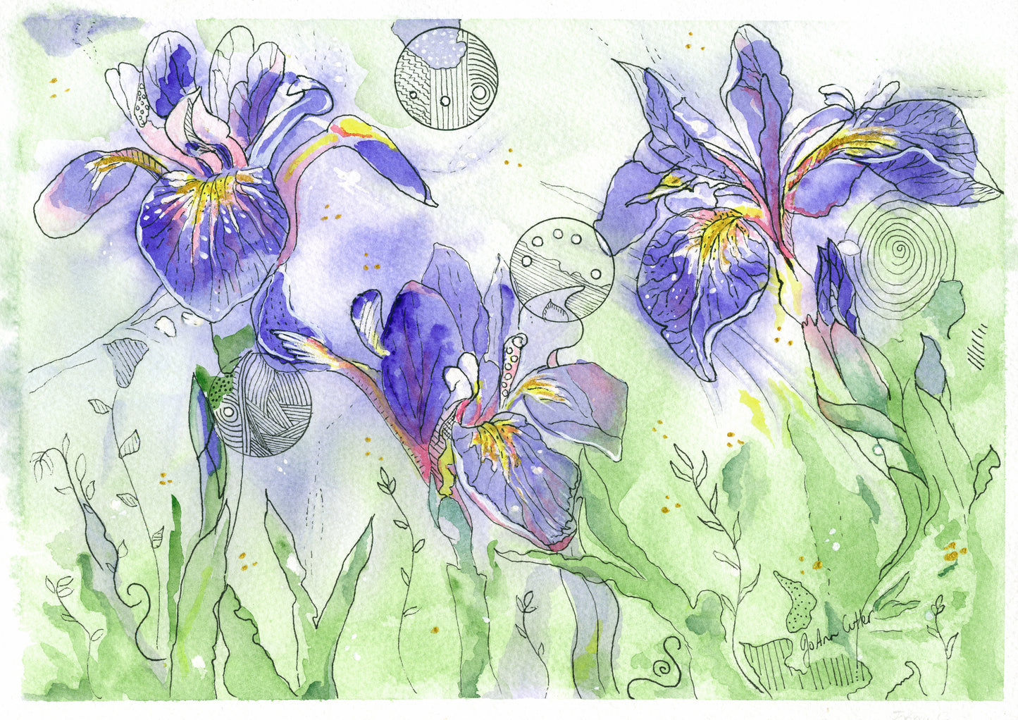 Irises