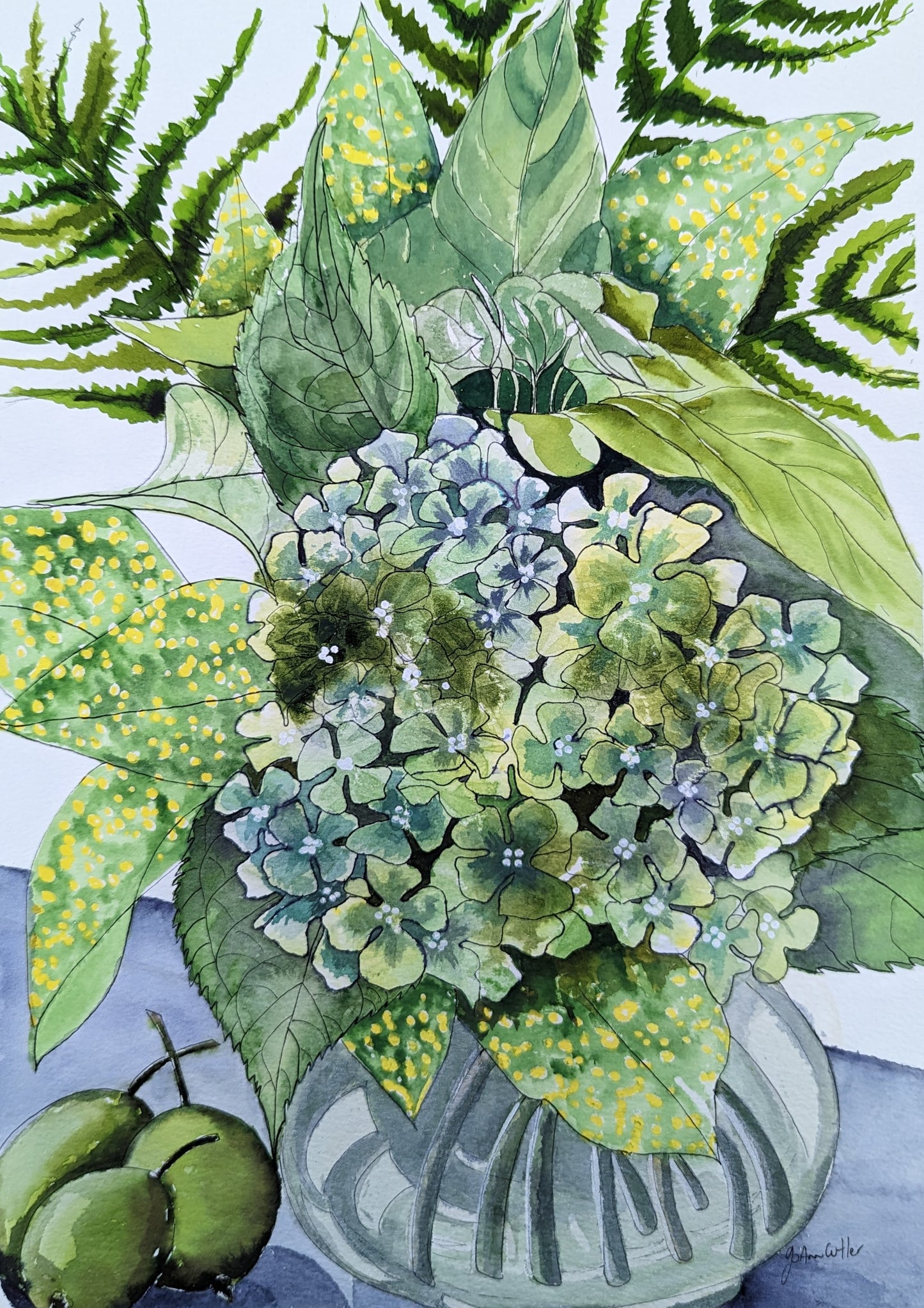 Green Hydrangeas and Pears