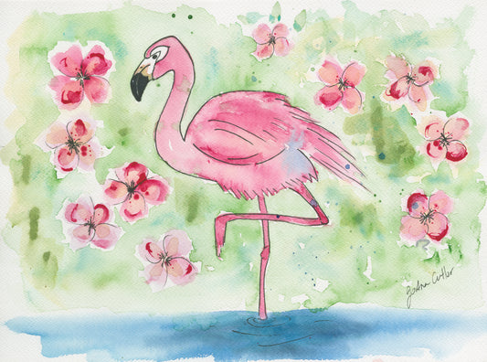 Flamingo and Frangipani